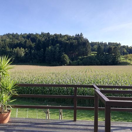 Ferienhaus Am Bach Kirchberg an der Raab Eksteriør bilde